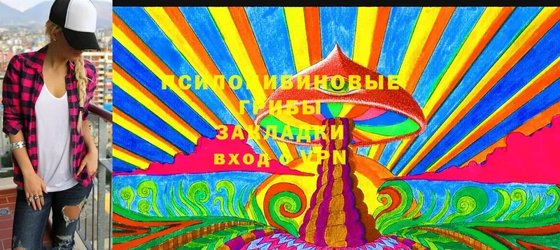 ОМГ ОМГ рабочий сайт  дарнет шоп  Струнино  Галлюциногенные грибы Psilocybe 